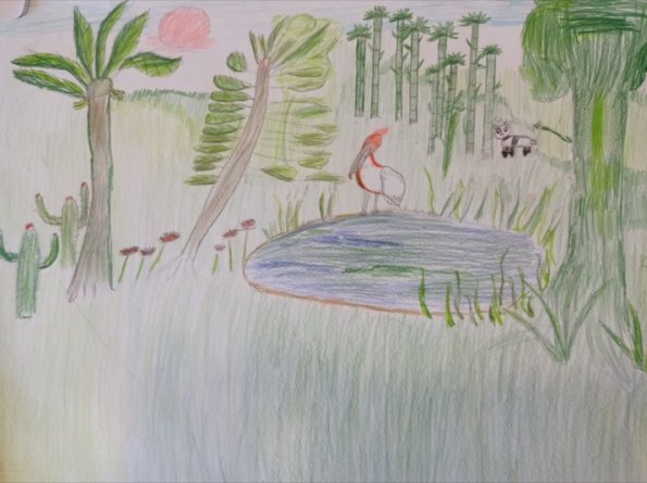 IMG_20230228_084809~2_hpgrem