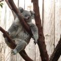 IMG_20240627_105716