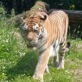 IMG_20240627_120125