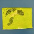 IMG_20240628_101627