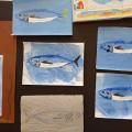 IMG_20240628_101654